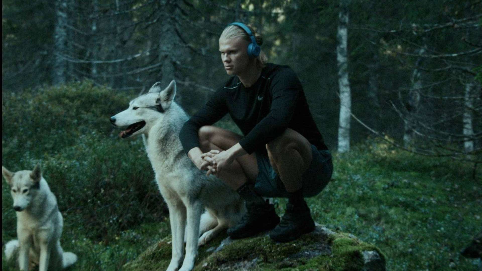 在當前歐洲 在當前歐洲