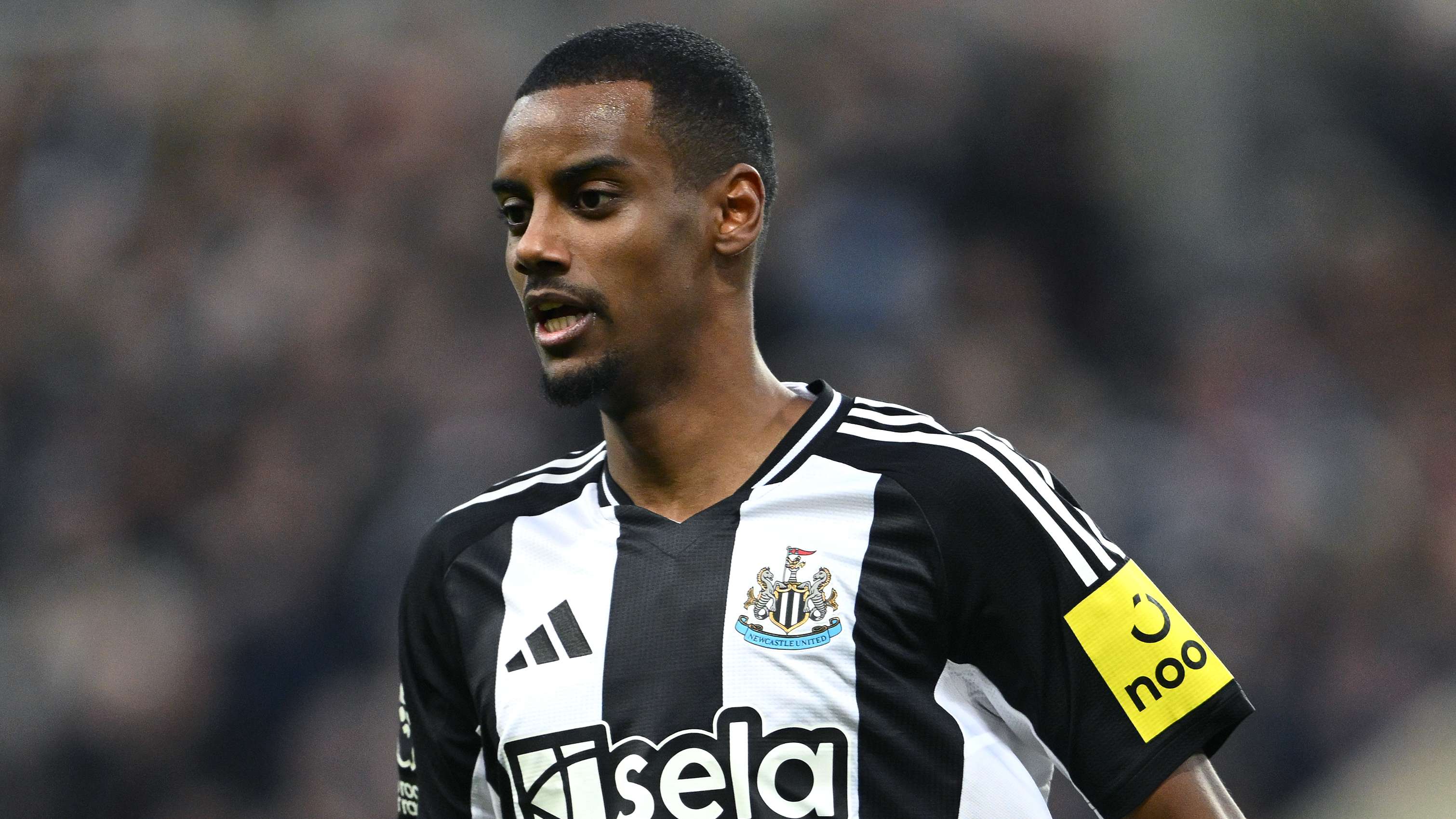 毫无疑问将 毫无疑问将