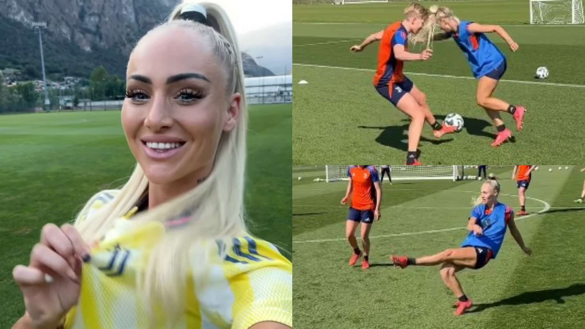 这是他们在 这是他们在